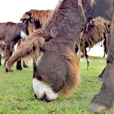 Le Clos Saint-martin & Отель