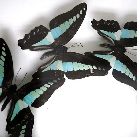 Le Clos Saint-martin &