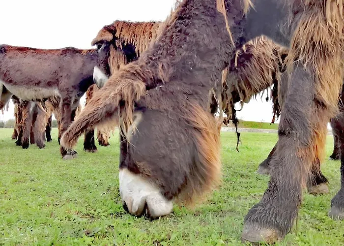 Le Clos Saint-martin & Hotel