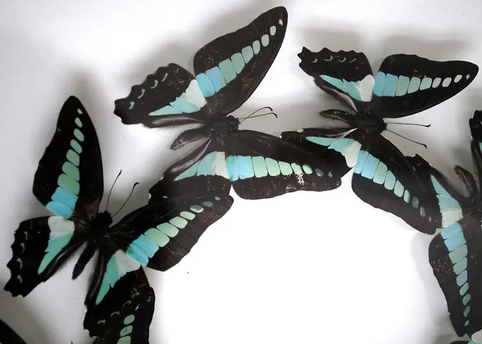 Le Clos Saint-martin &